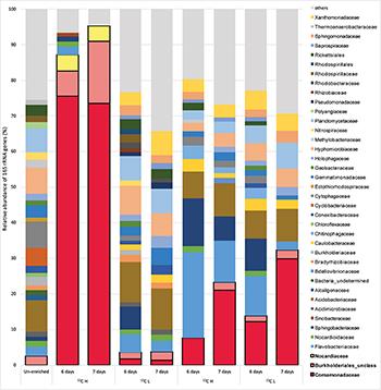 Novel Isoprene-Degrading Proteobacteria From Soil and Leaves Identified by Cultivation and Metagenomics Analysis of Stable Isotope Probing Experiments